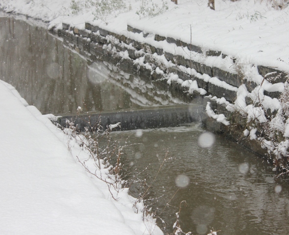 Hiver 2013 - Sous la neige